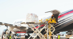 国际空运主要航空公司有哪些？（各航司优势航线是什么）